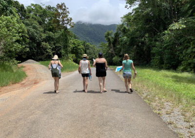 Chrissie McLaughlin Artists workshops cairns port douglas