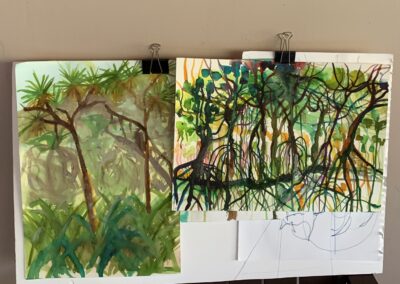 Chrissie McLaughlin Artists workshops cairns port douglas