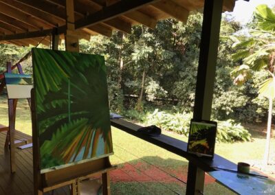 Chrissie McLaughlin Artists workshops cairns port douglas